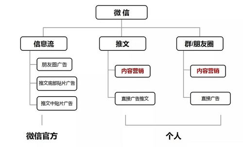 冷蕓時(shí)尚圈日報(bào) 第270期 教育與行業(yè)趨勢的深度思考